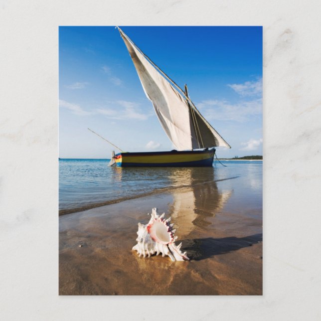 Carte Postale Bateau À Voile Et Coquille | Mozambique, Benguerra (Devant)