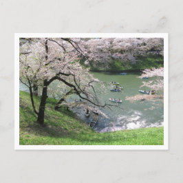 Carte Postale Bateau de printemps : Chidorigafuchi, Tokyo