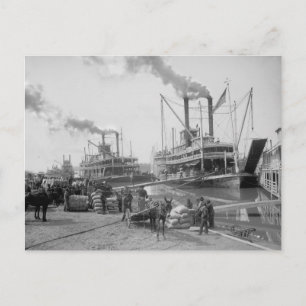 Carte Postale Bateaux à vapeur à Vicksburg, 1910