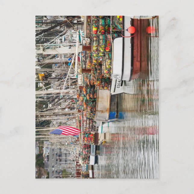 Carte Postale Bateaux de crabe de Newport dans la marina Photo (Devant)