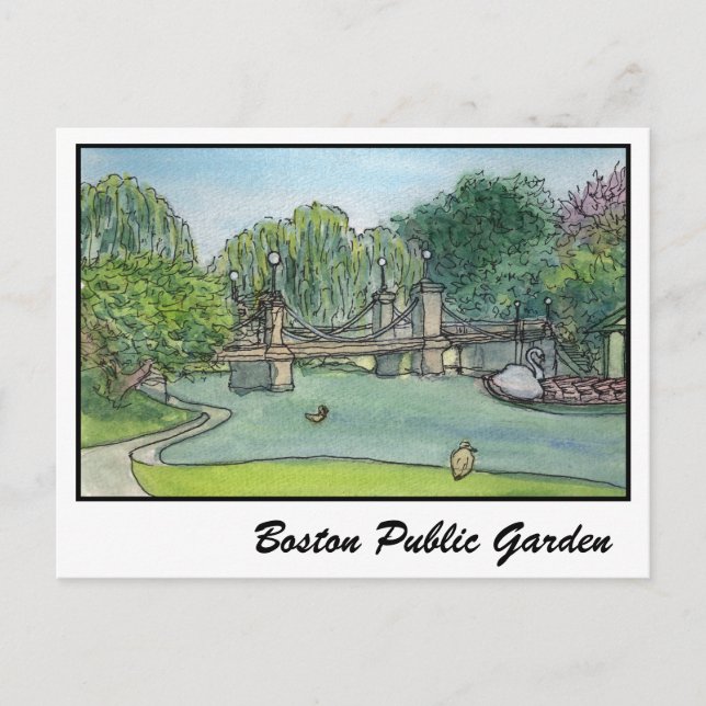 Carte Postale Bateaux de cygne de jardin public de Boston (Devant)