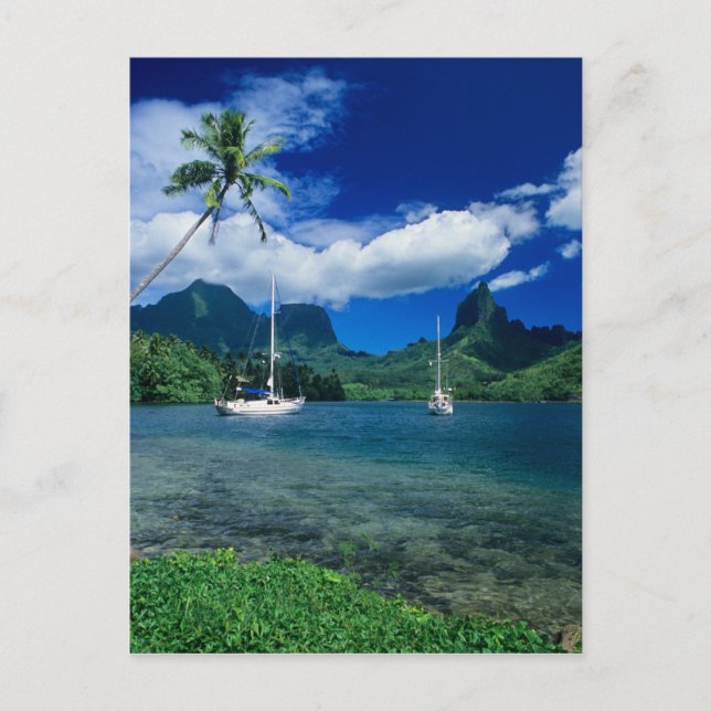 Carte Postale Bateaux privés ancrés dans la baie d'Opunohu sur (Devant)