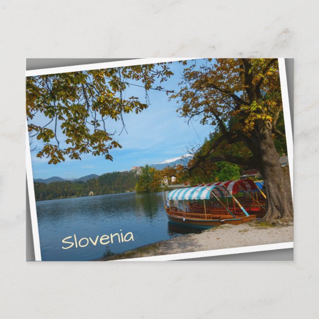 Carte Postale Bateaux touristiques dans le lac Bled en automne (Devant)