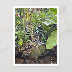 Carte Postale Bâton de la salle des orchidées Figures 1   Conser