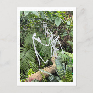 Carte Postale Bâton de la salle des orchidées Figures 3 | Conser