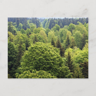 Carte Postale Bayerischer Wald