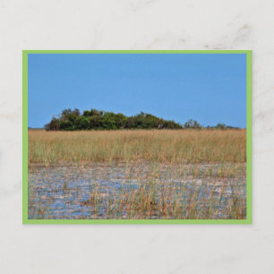 Carte Postale Bayhead à Sawgrass