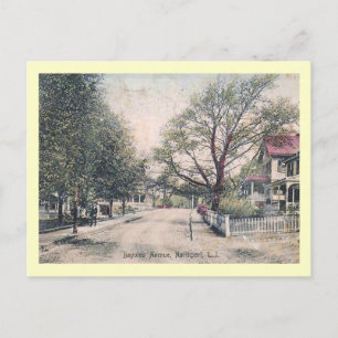 Carte Postale Bayview Ave., Northport, Long Island Vintage