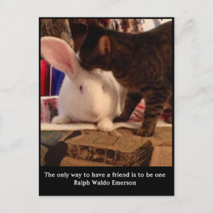 Carte Postale Be a Friend Postcard