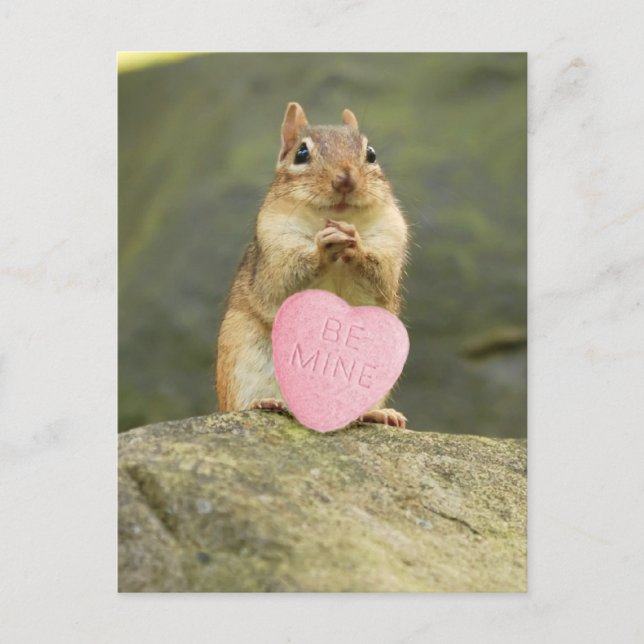 Carte postale Be Mine Little Chipmunk (Devant)