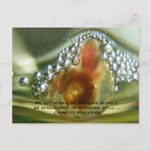 Carte Postale Be not afraid of growing slowly, be a...