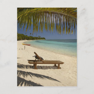 Carte Postale Beach