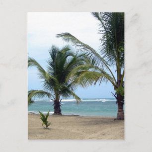 Carte Postale Beach