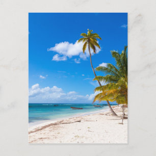 Carte Postale Beach à Saona