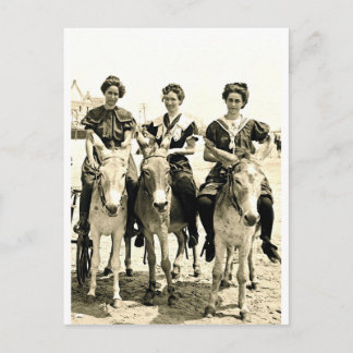 Carte Postale Beach Burros