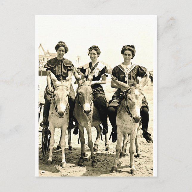 Carte Postale Beach Burros (Devant)