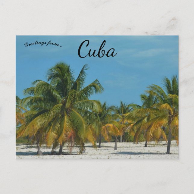 Carte Postale Beach in Cuba (Devant)