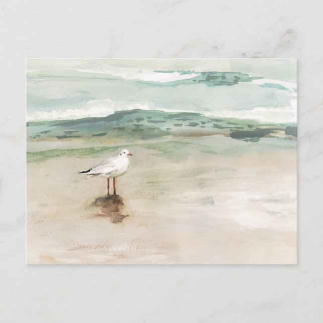 Carte Postale Beach Seagull Cove (Devant)