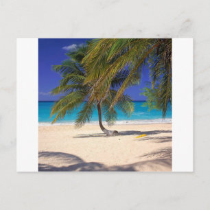 Carte Postale Beach Seven Mile Grand Cayman