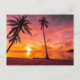 Carte postale Beach Sunset