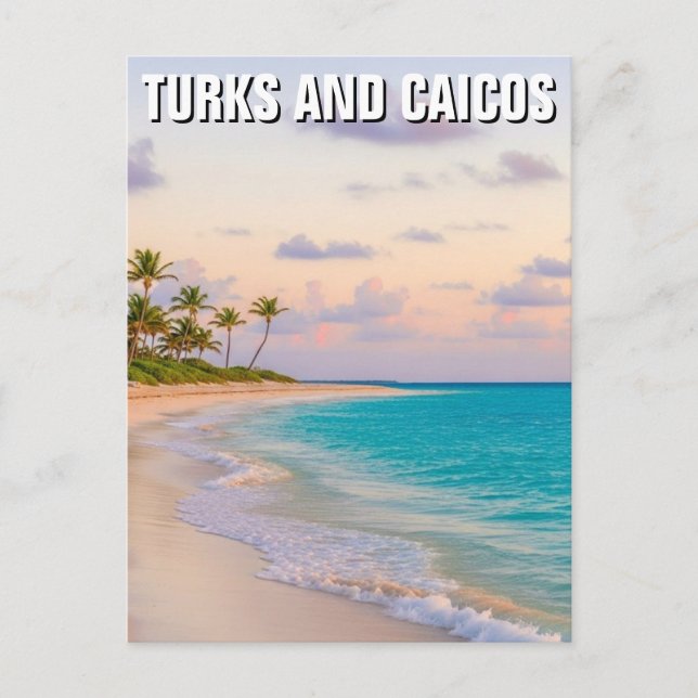 Carte Postale Beach Turks and Caicos Travel (Devant)