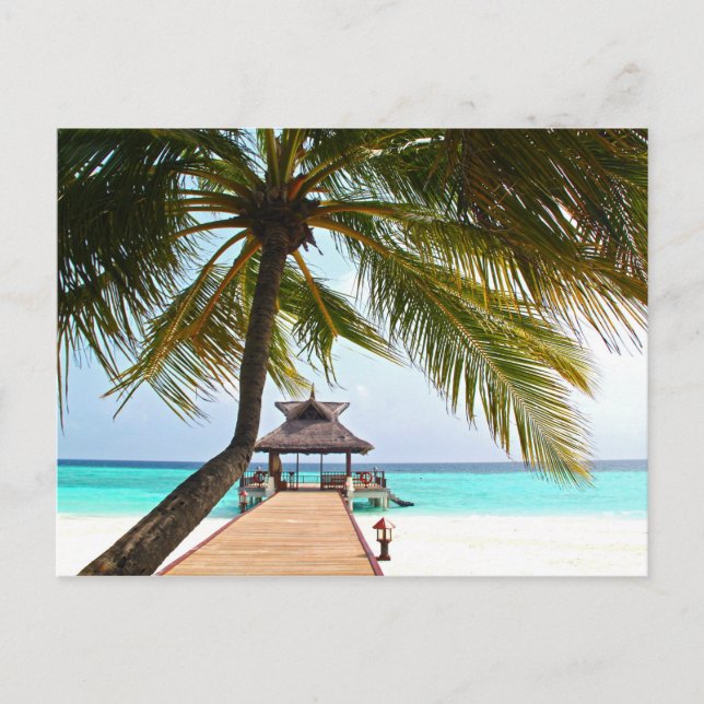 Carte Postale Beach Walk, Cabana, Palm Tree, Maldives (Devant)