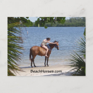 Carte Postale BeachHorses.com