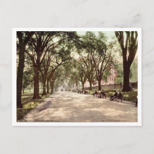 Carte Postale Beacon Street Mall Boston c1899 Inspiré des années