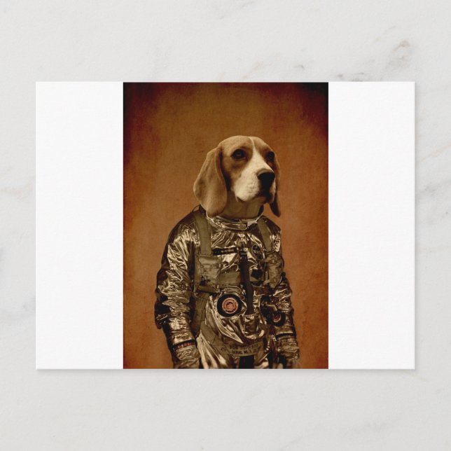 Carte Postale Beagle (Devant)