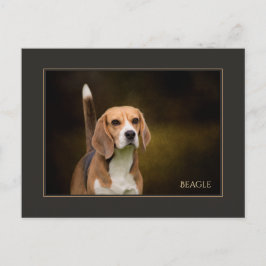 Carte postale beagle