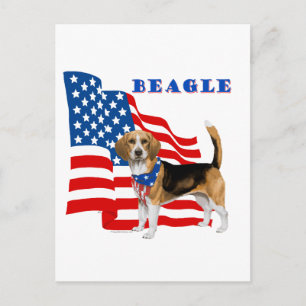 Carte Postale Beagle avec drapeau américain