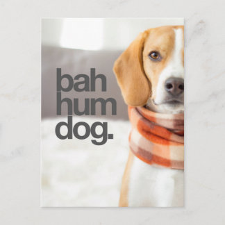 Carte Postale beagle "Bah Hum Dog"
