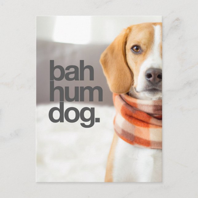Carte Postale beagle "Bah Hum Dog" (Devant)