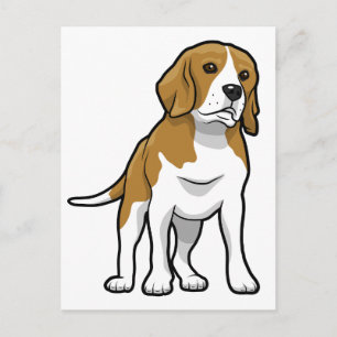 Carte Postale Beagle Brown et blanc