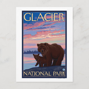 Carte Postale Bear and Cub - Parc national des Glaciers, MT