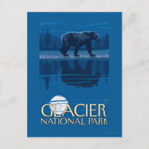 Carte Postale Bear in Moonlight - Glacier National Park, MT