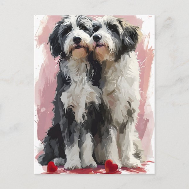 Carte Postale Bearded Collie Valentine's day (Devant)
