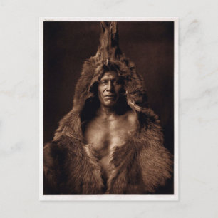 Carte Postale Bears Belly - Vintage