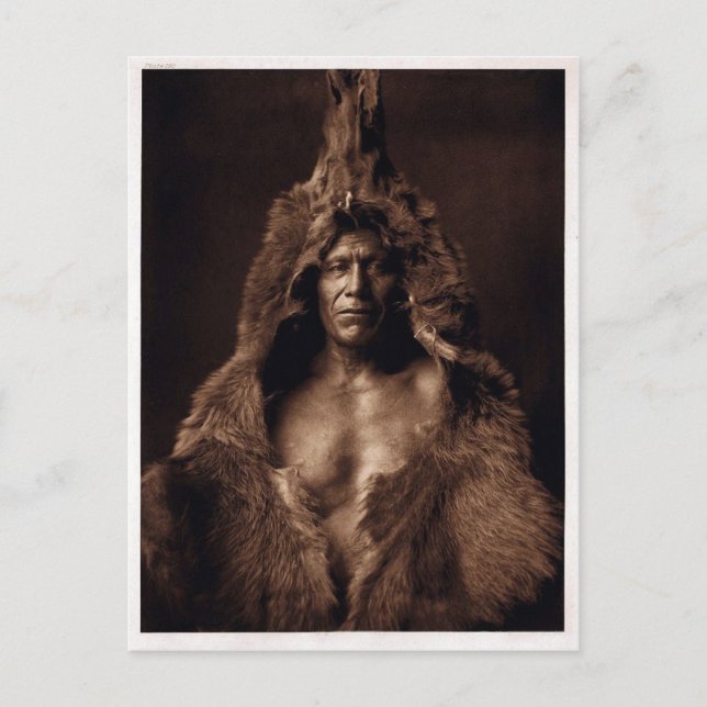 Carte Postale Bears Belly - Vintage (Devant)