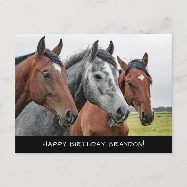 Carte Postale Beau anniversaire de chevaux (Devant)