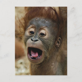 Carte Postale Beau bébé Orang