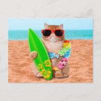 Beau chat surfeur sur la plage