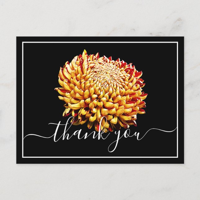 Carte Postale Beau Chrysanthème Jaune Et Rouge Merci (Devant)