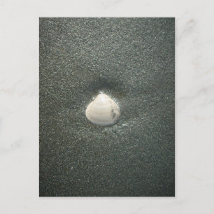 Carte Postale Beau coquillage dans le sable : Un souvenir salé
