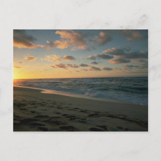 Carte Postale Beau coucher de soleil : Sunset Beach, Oahu, Hawai
