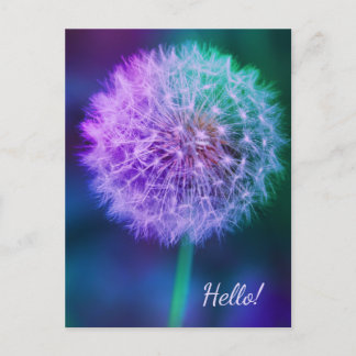 Carte Postale Beau Dandelion sur Arrière - plan bleu