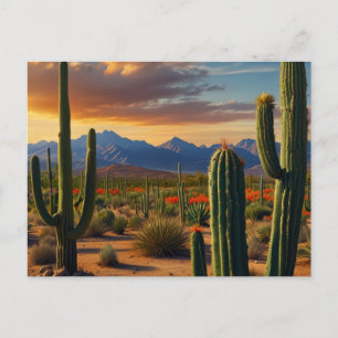 Carte Postale Beau désert de Cactus