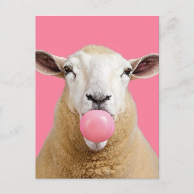 Carte Postale Beau Imaginaire Blanc Mouton Chewing Bubble Gum (Devant)