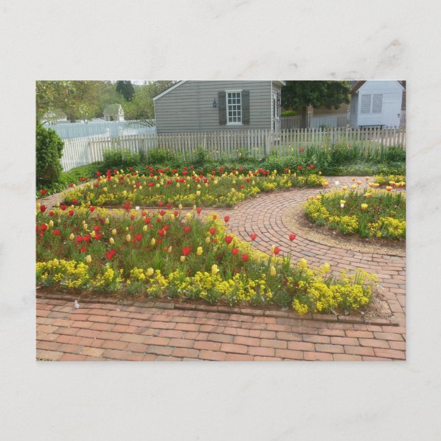 Carte Postale Beau jardin de tulipes Colonial Williamsburg (Devant)