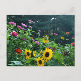 Carte Postale Beau jardin fleuri